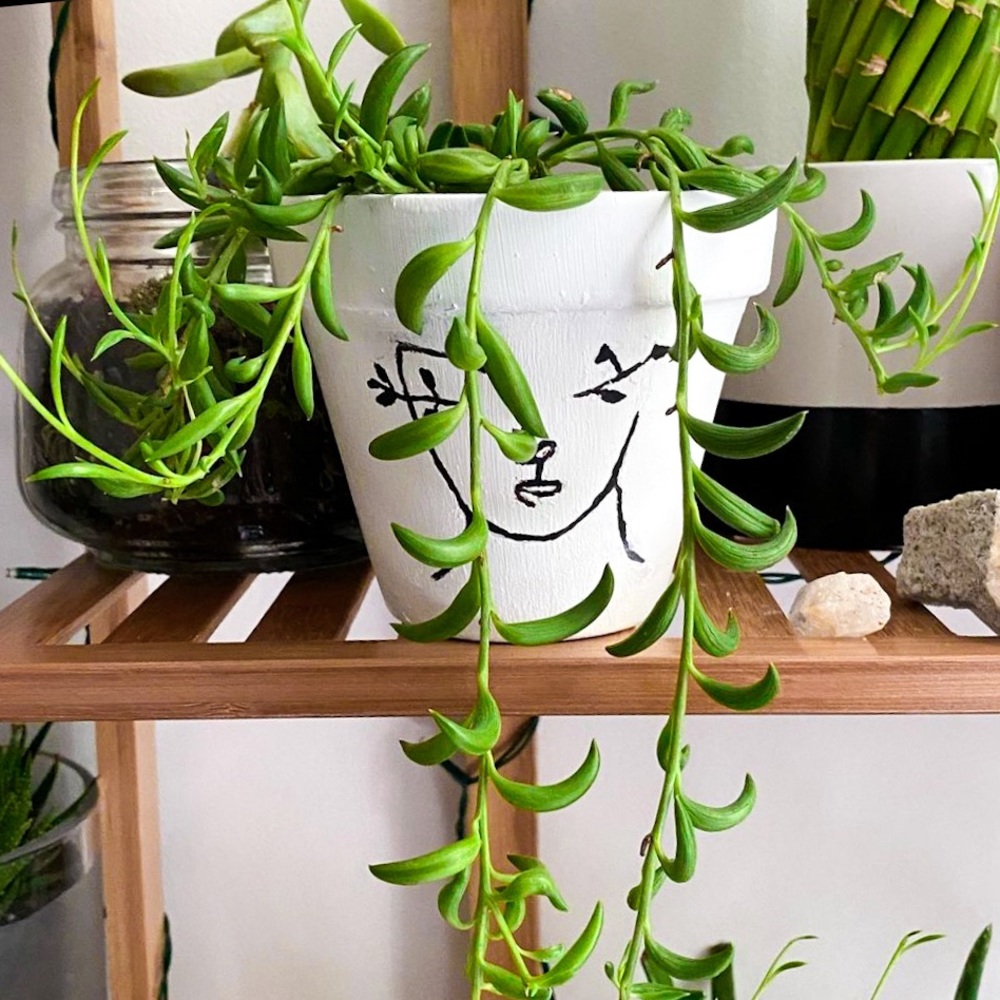 Mother Nature Pot